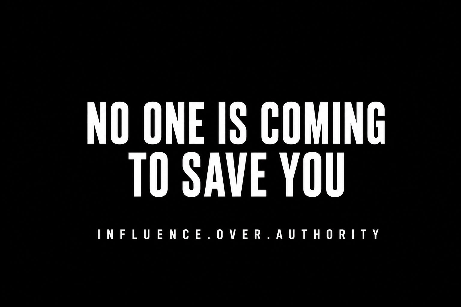 No One Is Coming To Save You 3x5 Flag- IN STOCK
